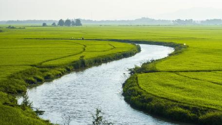 Enchanting River through Lush Green Fields wallpaper