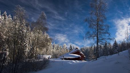 Winter Wonderland with Rustic Cabin and Snowy Trees wallpaper