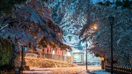 Winter Wonderland in the City at Night wallpaper