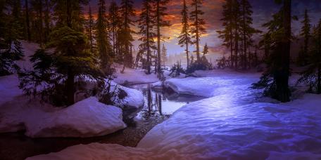 Winter Serenity in Nature's Embrace wallpaper
