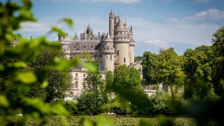 Majestic Castle Surrounded by Nature wallpaper