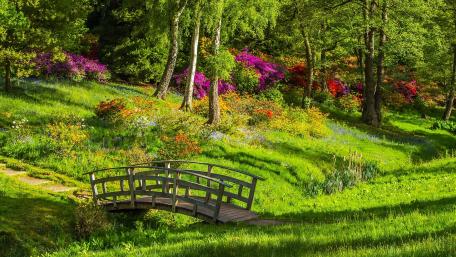 Serene Wooden Bridge in a Colorful Garden Scene wallpaper