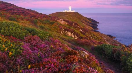 Lighthouse by the Colorful Coastline wallpaper