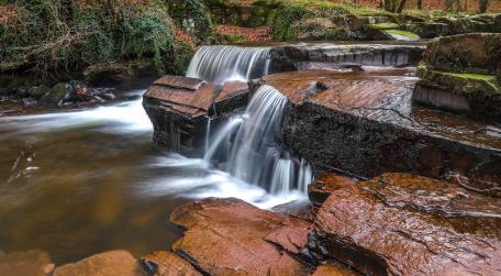 Serene Waterfall in a Tranquil Forest Setting wallpaper