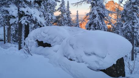 Winter Wonderland of Snowy Serenity wallpaper