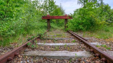 Overgrown Railway Tracks in Nature wallpaper