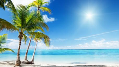 Tranquil Summer Beach Paradise wallpaper