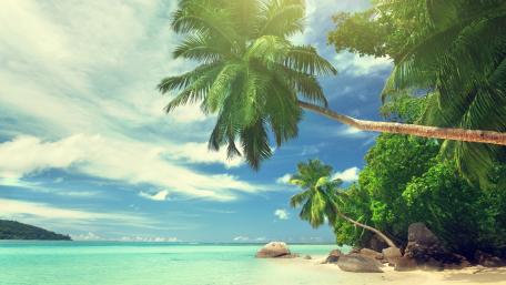 Tropical Paradise Under the Sun wallpaper