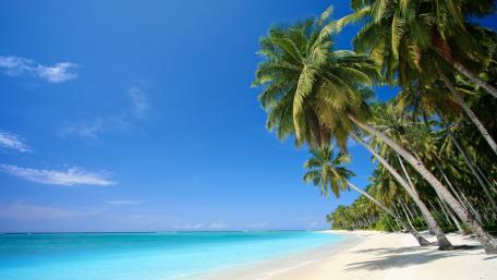 Tropical Paradise Under a Bright Sky wallpaper