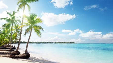 Tropical Paradise by the Sea wallpaper