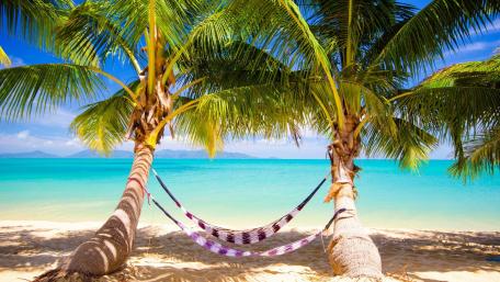 Relaxing Tropical Oasis by the Beach wallpaper