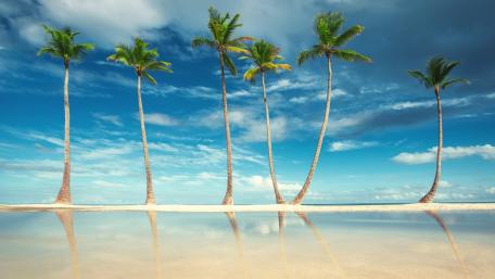 Serene Tropical Oasis View wallpaper