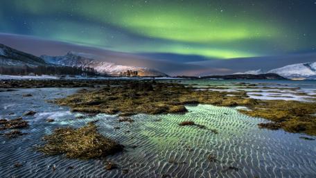 Dancing Lights Over Serene Waters wallpaper