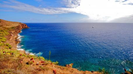 Serene Coastal Vista with Gentle Waves and Clear Sky wallpaper