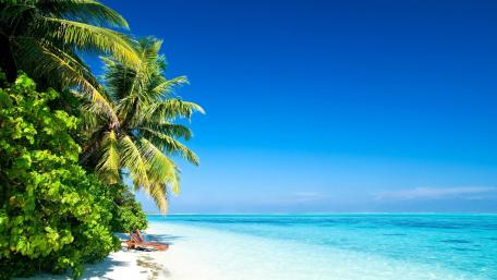 Tropical Serenity in Blue Waters wallpaper