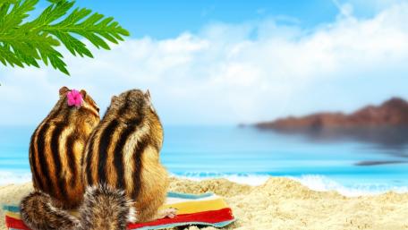 Summer Chipmunks Enjoying a Beach Day Together wallpaper