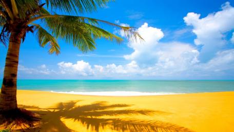 Tropical Paradise by the Sea wallpaper