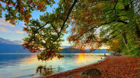 Serene Lakeside Autumn Bliss wallpaper