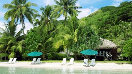 Tropical Paradise by the Sea wallpaper