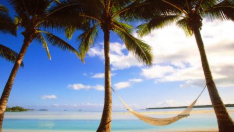 Tranquil Beachside Hammock View wallpaper