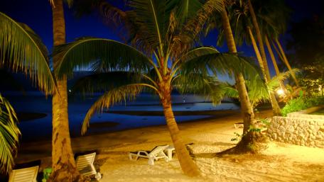 Serene Night at the Beach wallpaper