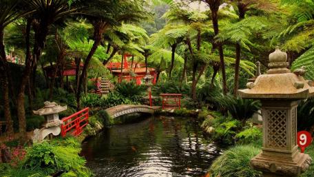 Tranquil Serenity in a Japanese Garden wallpaper