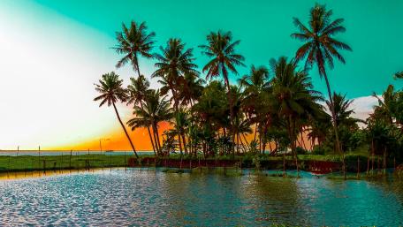 Tropical Paradise at Dusk wallpaper