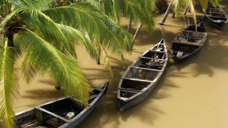 Serene Boats Among Lush Palm Trees wallpaper