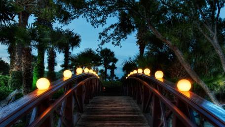 Serene Evening on a Tropical Bridge wallpaper