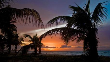 Tropical Sunset Over Ocean Waves wallpaper