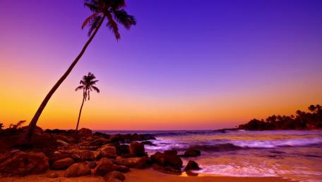 Serene Tropical Paradise Awaits You wallpaper