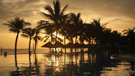 Tropical Sunset Serenity wallpaper