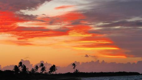 Dreamy Sunset Over Tropical Sky wallpaper