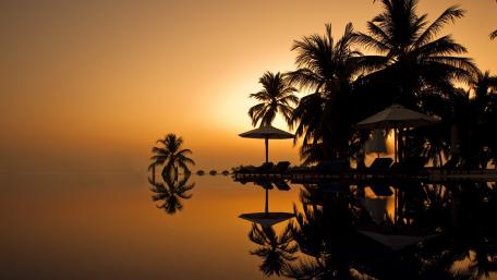 Tropical Serenity at Dusk wallpaper