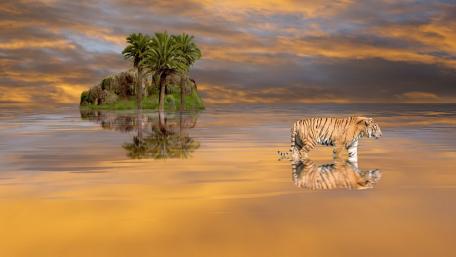 Majestic Tiger in a Dreamlike Landscape wallpaper