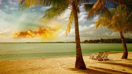 Tropical Paradise Escape with Palm Trees and Sunbed wallpaper