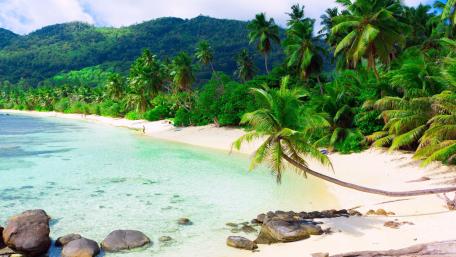 Tropical Paradise Awaits You wallpaper
