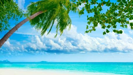Tropical Serenity in Blue Waters wallpaper