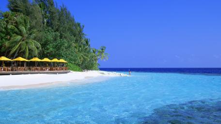 Tropical Paradise with Crystal Clear Waters and Golden Sands wallpaper
