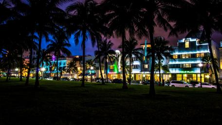 Tropical Night Cityscape Wallpaper Features Silhouettes of Palm Trees wallpaper