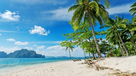 Tropical Escape to Serene Shores wallpaper