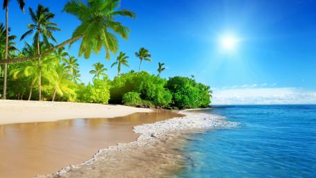 Tropical Paradise on a Sunny Beach wallpaper
