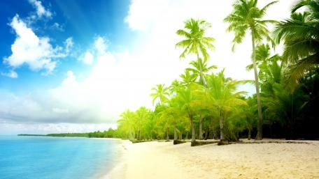 Tropical Paradise Under Sunlit Skies wallpaper