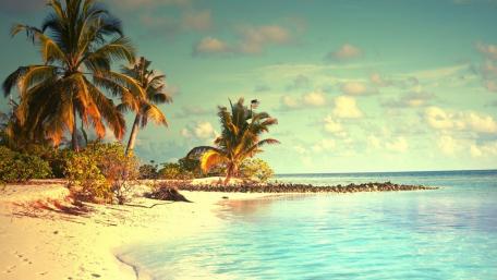 Tropical Beach Serenity in Summer Bliss wallpaper