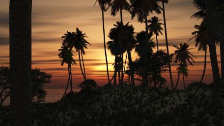 Tropical Sunset Serenity wallpaper