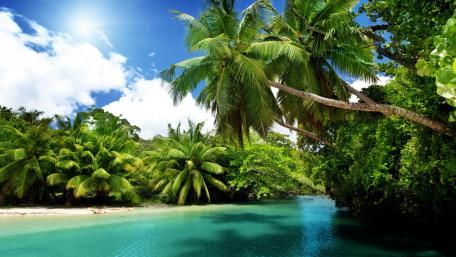 Tropical Paradise Awaits in Nature's Embrace wallpaper