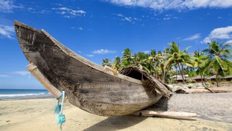 Tropical Serenity by the Shoreline wallpaper