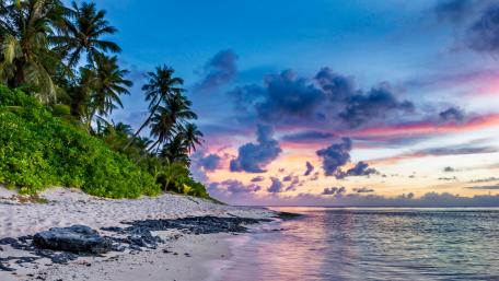 Tropical Paradise at Dusk wallpaper