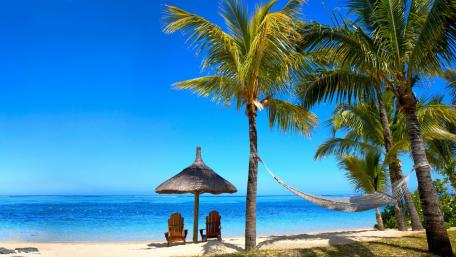 Tropical Paradise by the Sea wallpaper