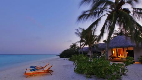 Serene Tropical Evening Escape wallpaper